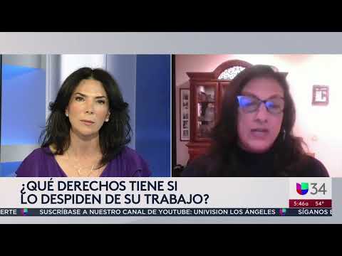 ¿A qué recursos puedes acudir si te despiden del trabajo? Abogada explica los casos y excepciones Todo lo que necesitas saber sobre el despido de personal laboral fijo