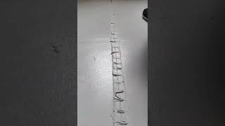 Tiler applies grout to fill seams between floor tiles
