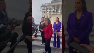 Rep. Sarah McBride on Republican Healthcare Crisis, Anti-Trans Bills