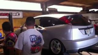 Svt focus dyno slammed