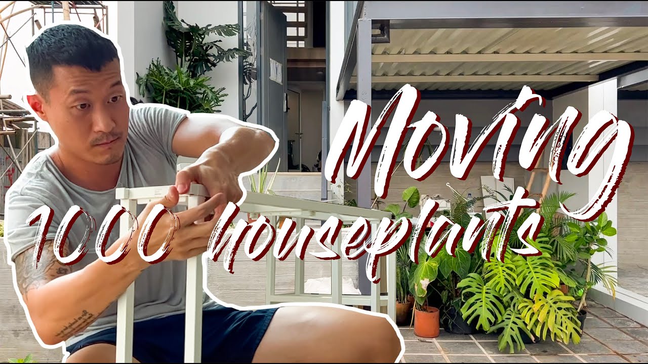 Tiny House For 1 000 Plants Renovation And Moving Process YouTube