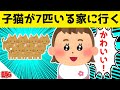 子猫を7匹も飼っている友人の家に、娘と遊びにいった結果www