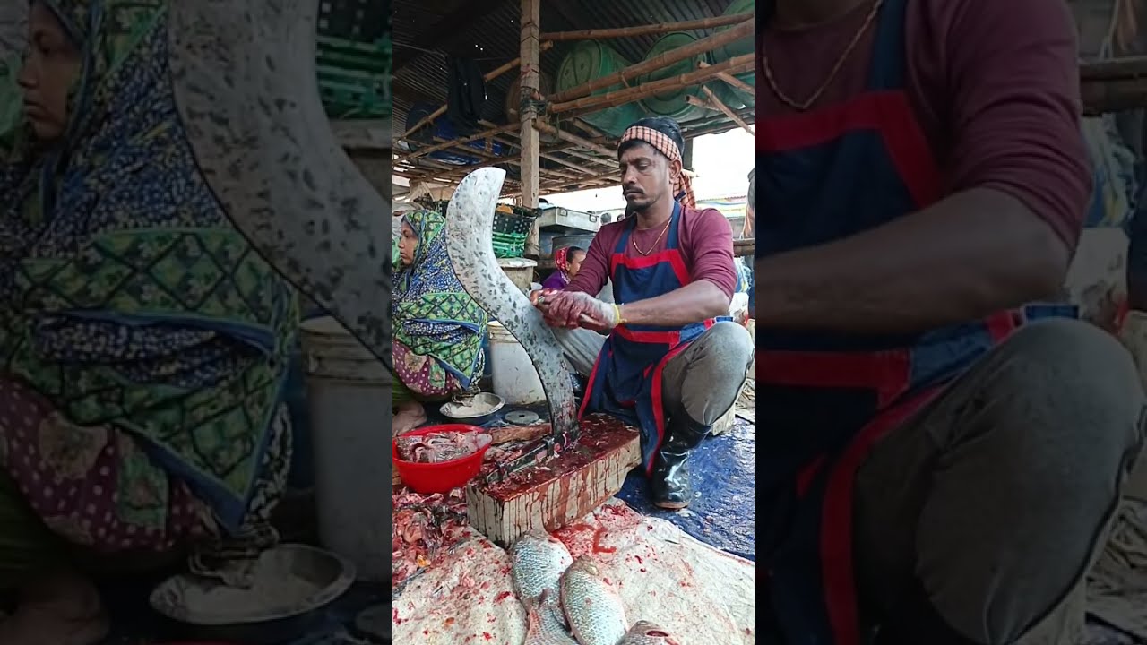 ASMR Giant Fish Cutting 