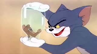 ᴴᴰ Tom And Jerry English Episodes 5 The Milky Waif