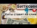 Биткоин Киты ставят на слив при растущем интересе. BTC: глобальный параболический рост не нарушен