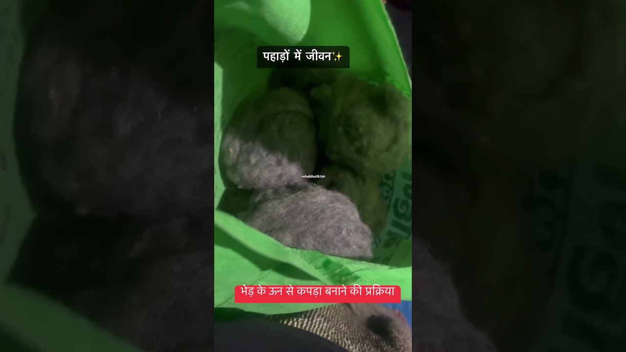 #lifeinvillage  #pahadilifestyle  #ytshorts