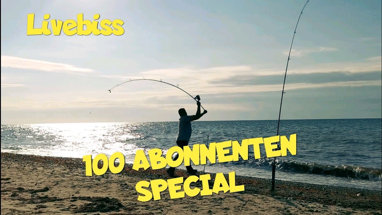 Brandungsangeln im August 2021 Ostsee pur