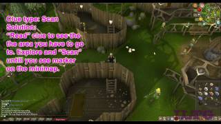 Elite Clue Scroll Guide + Reward, Old Wilderness, Free Trade Return