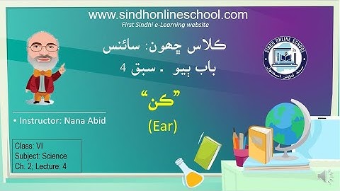 Sense Organs (Ear)| Science Class 6| Chapter 2| Lecture 4| by Nana Abid| Sindh Online School
