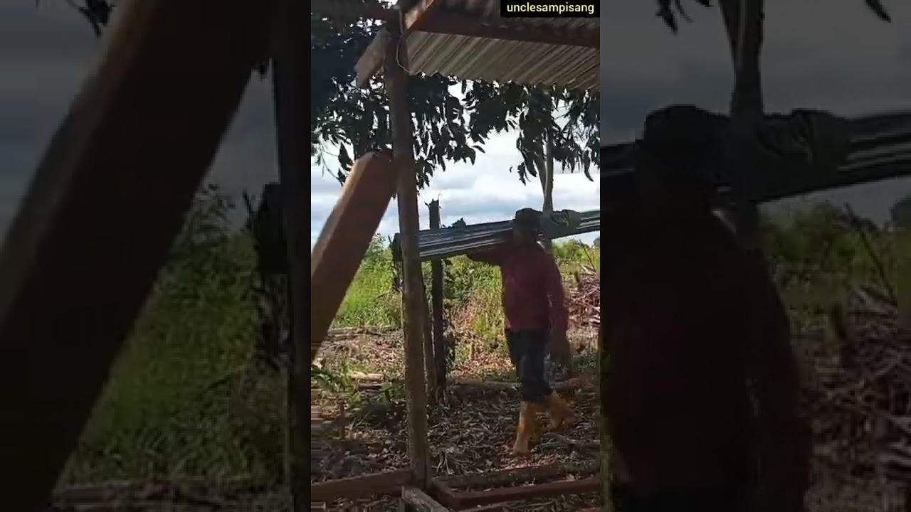 farmer from borneo 54