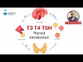 Thyroid introduction t3 t4 tsh