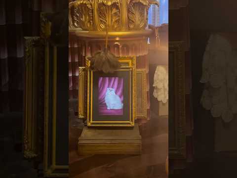 Magic mirror #adventure #entertaining #magic #explore