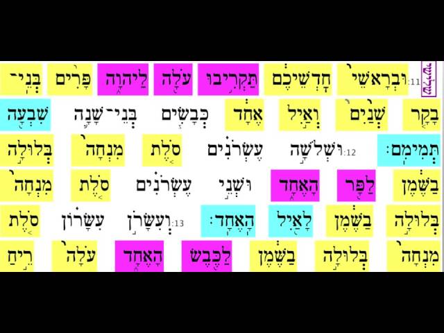 Rosh Chodesh 12