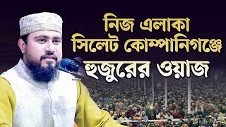 নিজ এলাকা সিলেট কোম্পানিগঞ্জ মাহফিলে হুজুরের বয়ান | M Hasibur Rahman Bangla New Waz