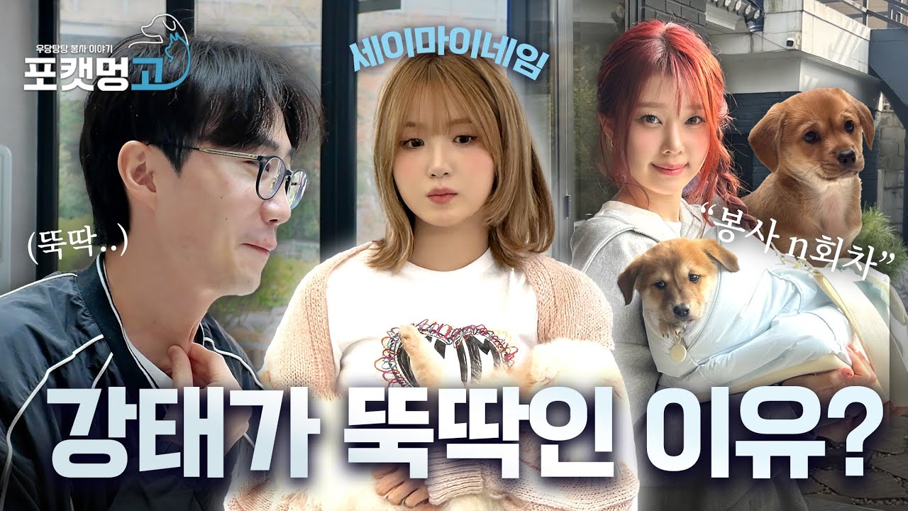 [EP.11] 포캣멍GO ❤️ 강태가 뚝딱였던 이유는? | 세이마이네임 포캣멍센터 봉사오다