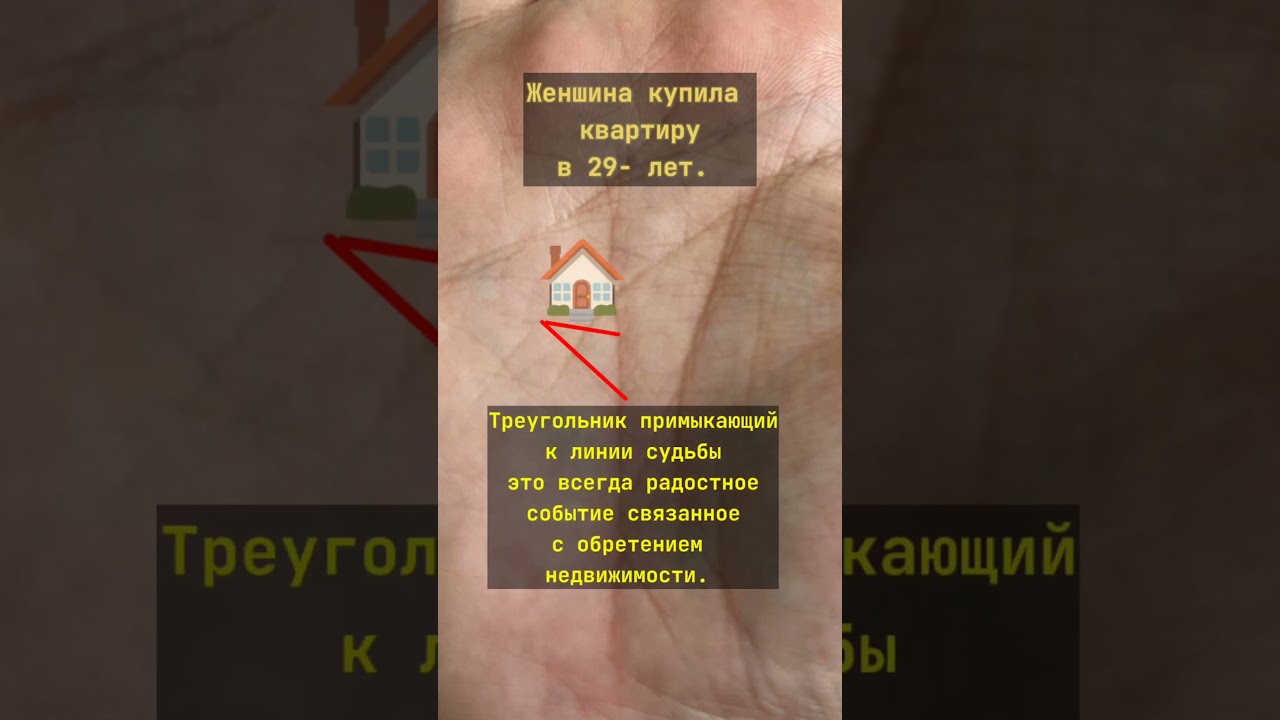 Как выглядит покупка квартиры на ладони . 