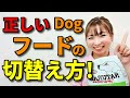 【犬 ドッグフード・ご飯】愛犬の正しいドッグフードの切り替え方！おやつの量と添加物について 新遠藤エマチャンネル【犬のしつけ＠横浜】