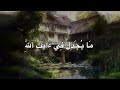 غافر الذنب و قابل التوب للدكتور نعينع أحمد نعينع   قرآن