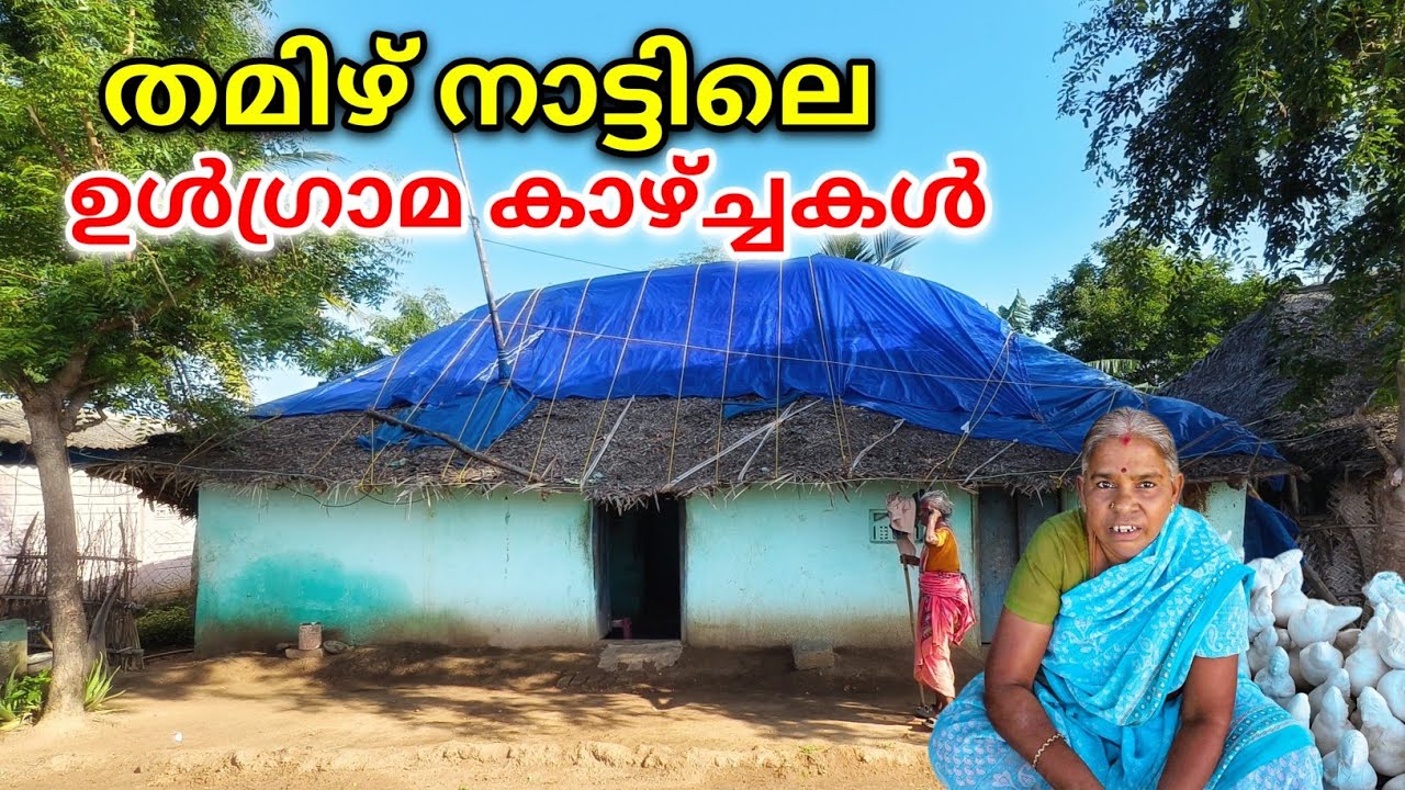 Редкие виды сельской местности Тамил Наду | Пуннайналлур, деревня изготовления кукол Танджавур