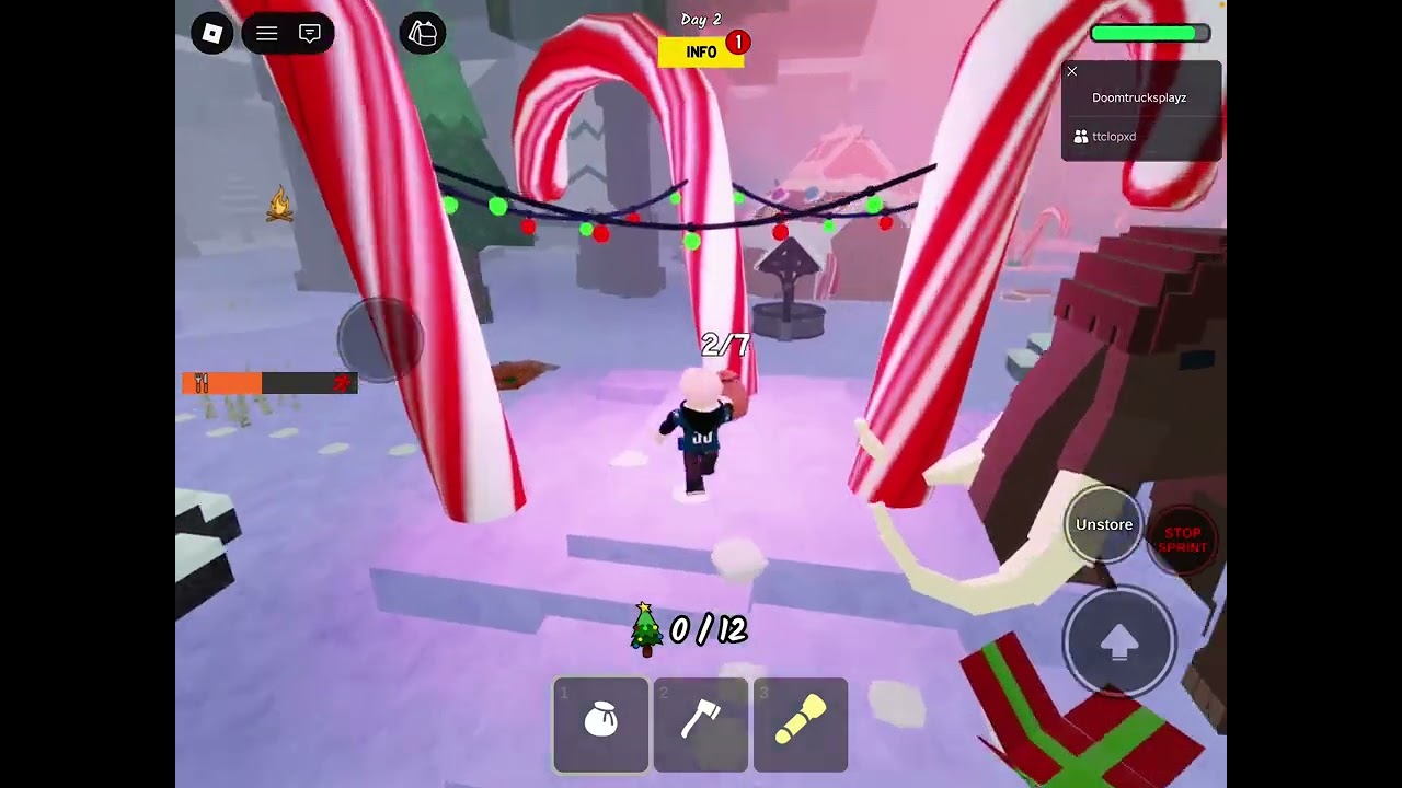 99. Nights in the forest with my friend