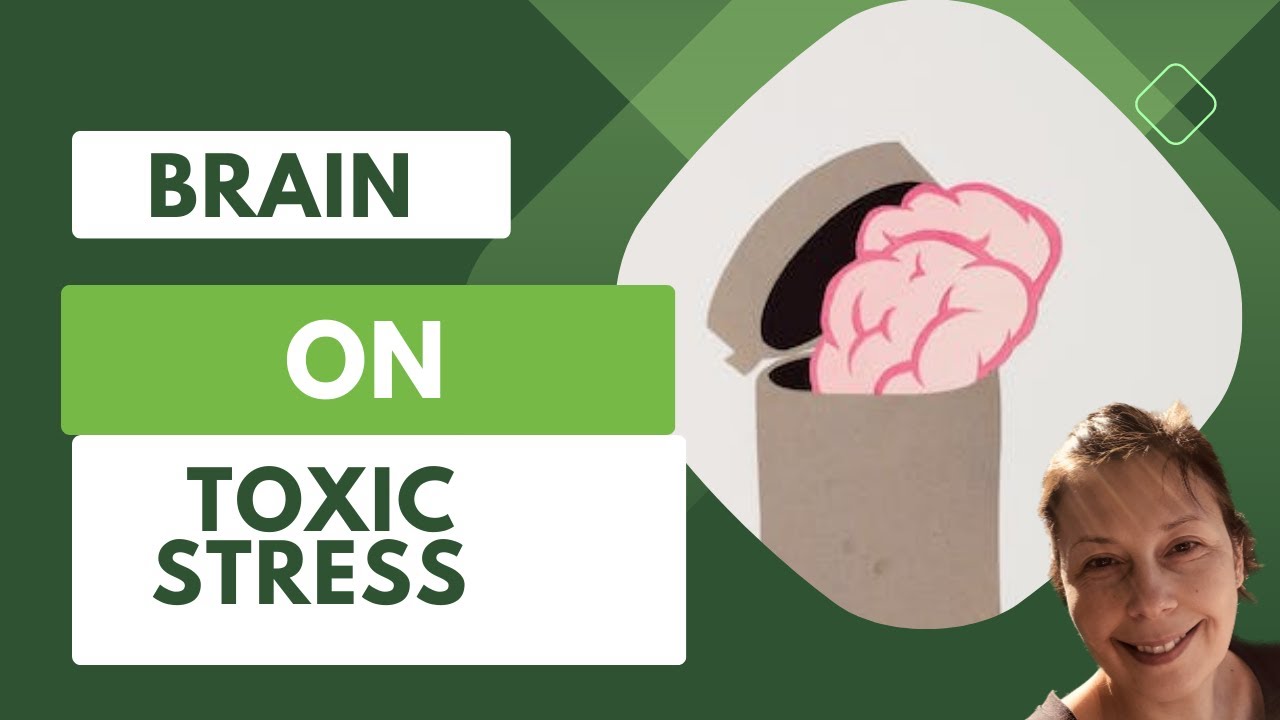 Brain On TOXIC STRESS What Happens With The Brain Of Toxic Stress brain-on-toxic-stress-what-happens-with-the-brain-of-toxic-stress