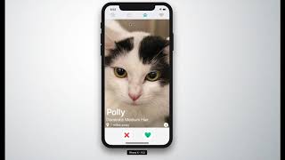 FluffyMates   Pet Adoption App screenshot 3