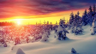 Televisor - We Wish You a 🎁🎄Merry Christmas🎄🎁