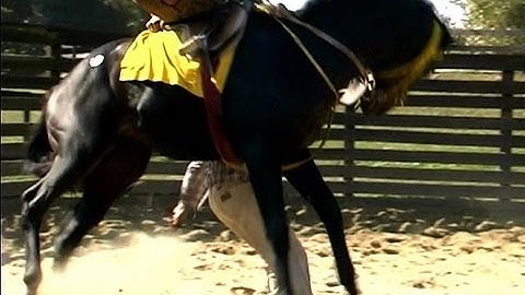 Horse Bucking Compilation FAIL!