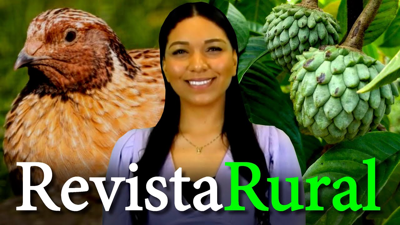 PROGRAMA REVISTA RURAL - 12/03/2023