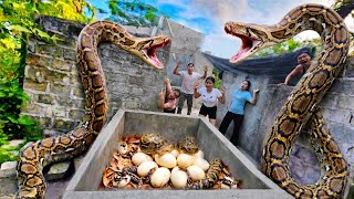 Brave soldier uses high-tech snake detector to find giant python nest.