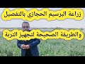 زراعة البرسيم الحجازي بالتفصيل والطريقة الصحيحة لتجهيز التربة لزراعة البرسيم الحجازي زراعة البرسيم الحجازي بالتفصيل والطريقة الصحيحة لتجهيز التربة لزراعة البرسيم الحجازي