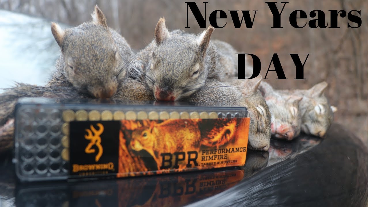 SQUIRREL HUNTING WITH A REMINGTON 597 YouTube