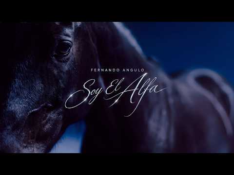 Fernando Angulo - Soy el Alfa (Visualizer)