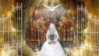 1372. TLCVN - Mercy of GOD Houston Texas USA. Design linh hồn từ nơi chí thánh - 15.07.2023