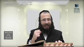 הדף היומי מסכת נידה דף יז