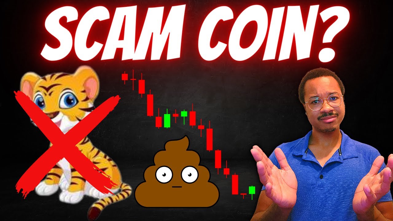 Is BNB TIGER INU The BEST You Could Do? - YouTube