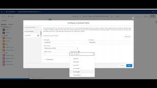 Add Scheduled Path to a Flow
