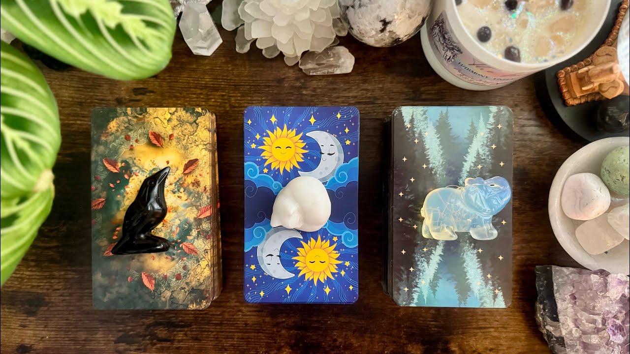 WHO is coming towards YOU in LOVE? 🐦‍⬛🐈🐘❤️🤔 PICK A CARD READING 🤔❤️🐘🐈🐦‍⬛ TIMELESS ⏳⏳⏳