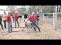 Steer Wrestling 101 Jumping Dummy: Part 1