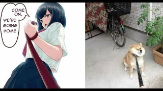 BEST WACKY MEMES COMPILATION