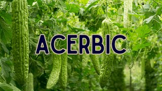 What is the meaning of Acerbic?