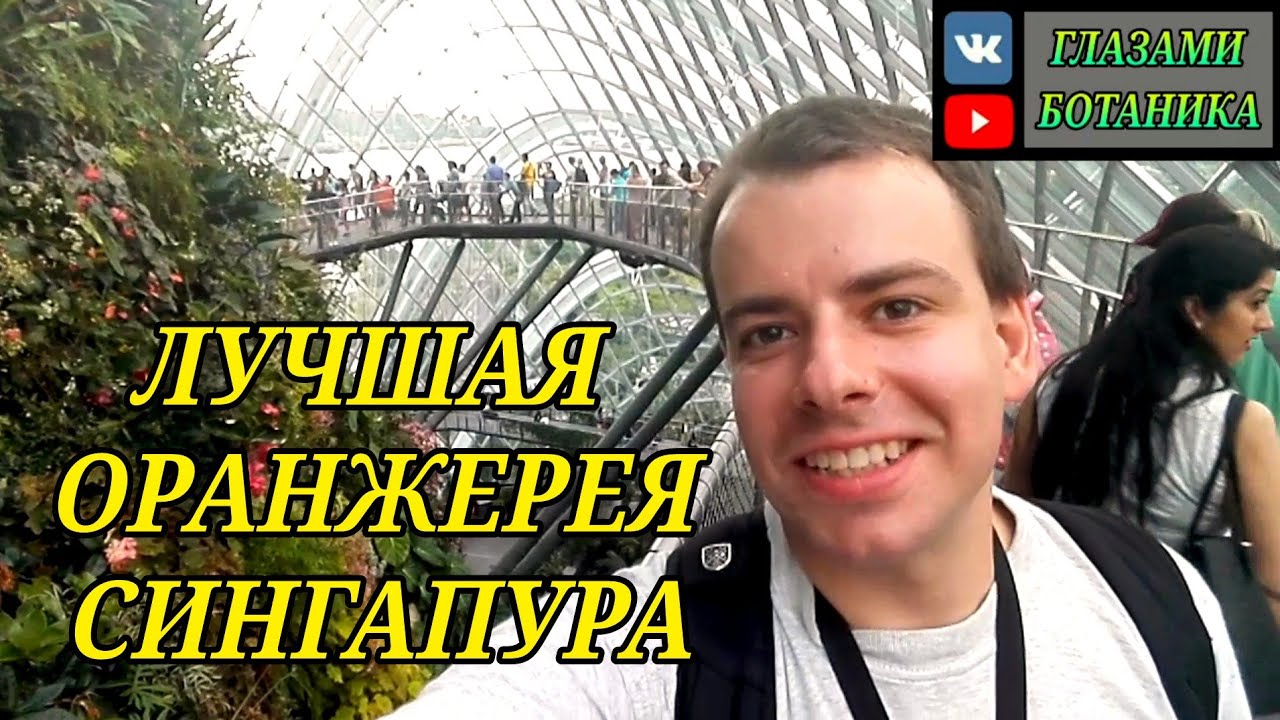 ЛУЧШАЯ ОРАНЖЕРЕЯ СИНГАПУРА ГЛАЗАМИ БОТАНИКА -- Орхидеи / Кактусы ...