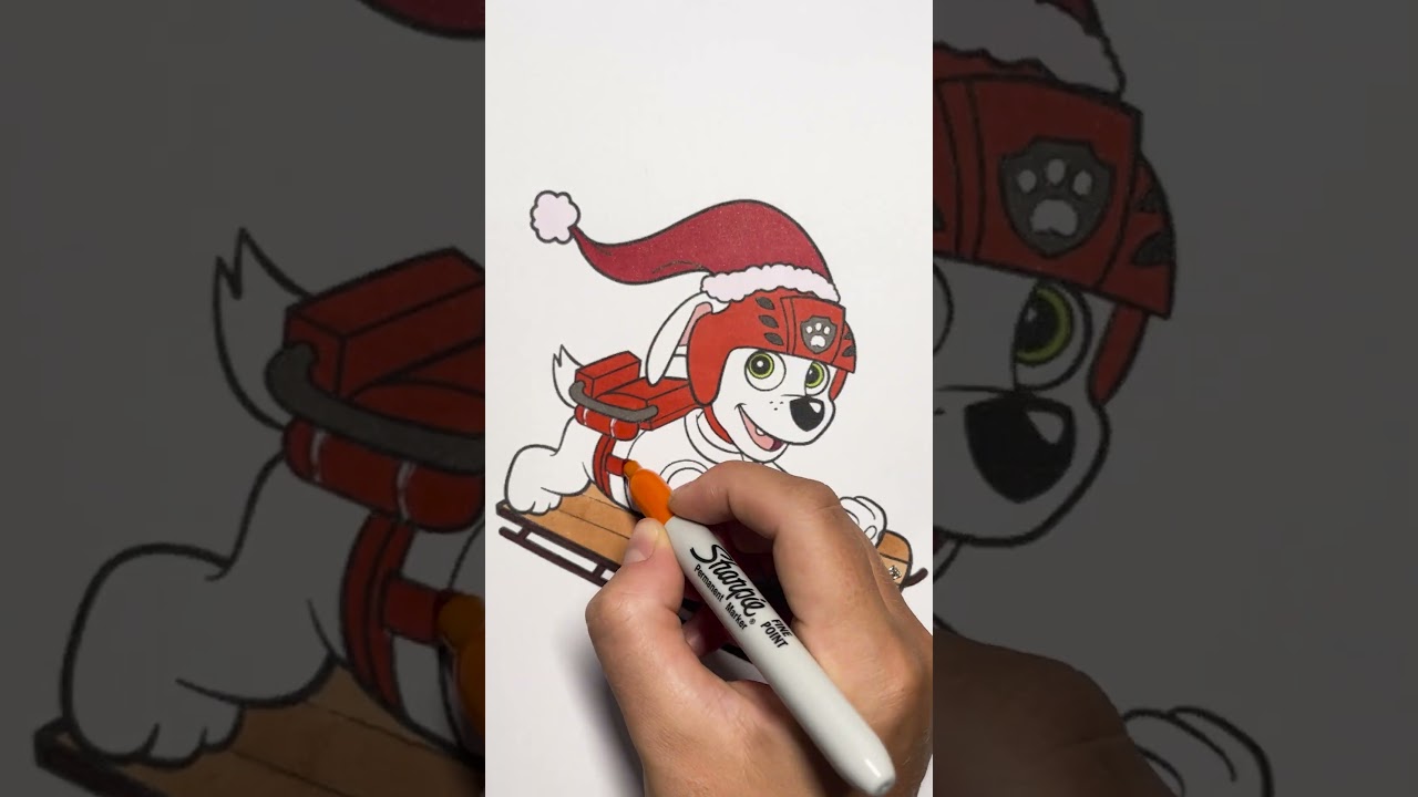 🐶ZUMA SPEED COLORING!🛷 