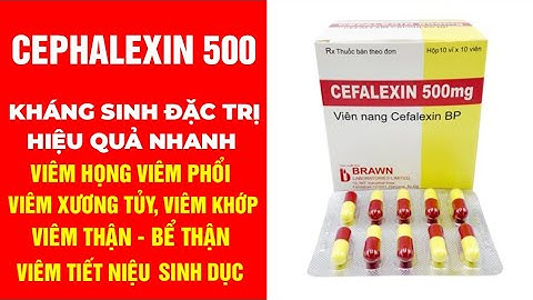 Cephalexin pmp 500 là thuốc gì năm 2024