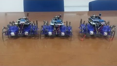 Artificial Vision with Spider robots using STM32 F4 Nucleo (2016 Class)