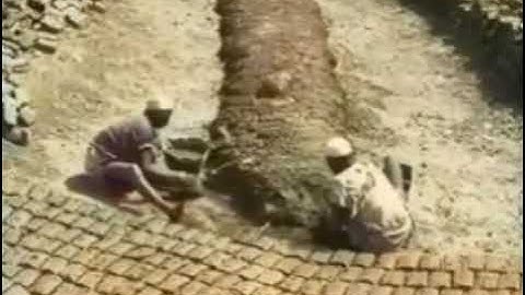 الشيخ الشحات أنور سورة فاطر