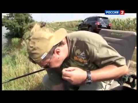 Ловля леща на фидер | В мире рыбалки #5 Ловля леща на фидер | В мире рыбалки #5