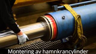 Hydraulic cylinder assembly