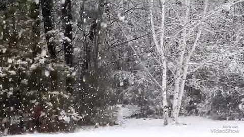 جزء تبارك، القارئ/ هزاع البلوشي.