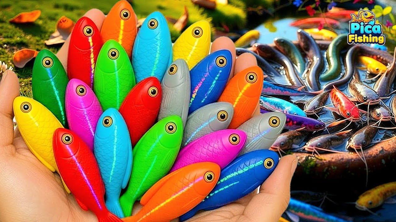 Catch Stunning Aquarium Fish in Colorful Eggs – Koi, Guppy & Goldfish